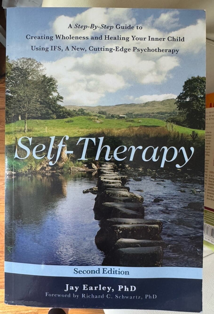 SELF-THERAPY: A STEP-BY-STEP GUIDE TO CREATING WHOLENESS By Jay Earley **Mint**